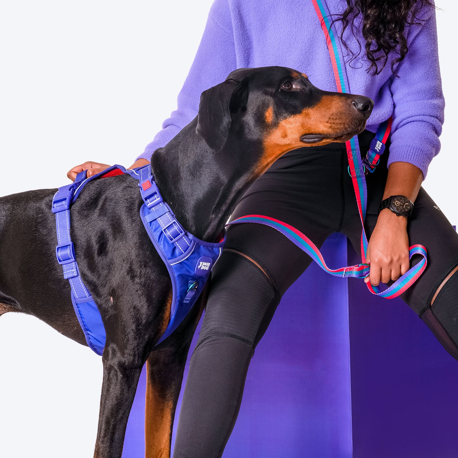 Dash Dog Zoom Walk Along Harness - Violet & Red - Heads Up For Tails