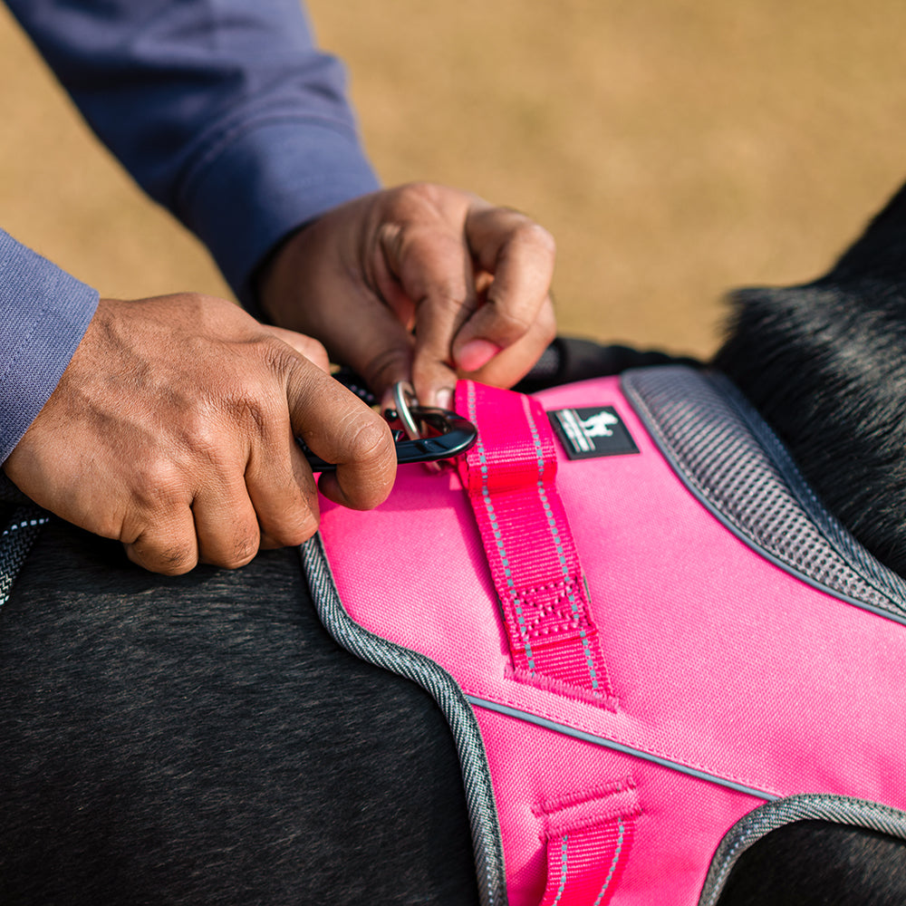 HUFT Easy On Dog Harness - Pink - Heads Up For Tails