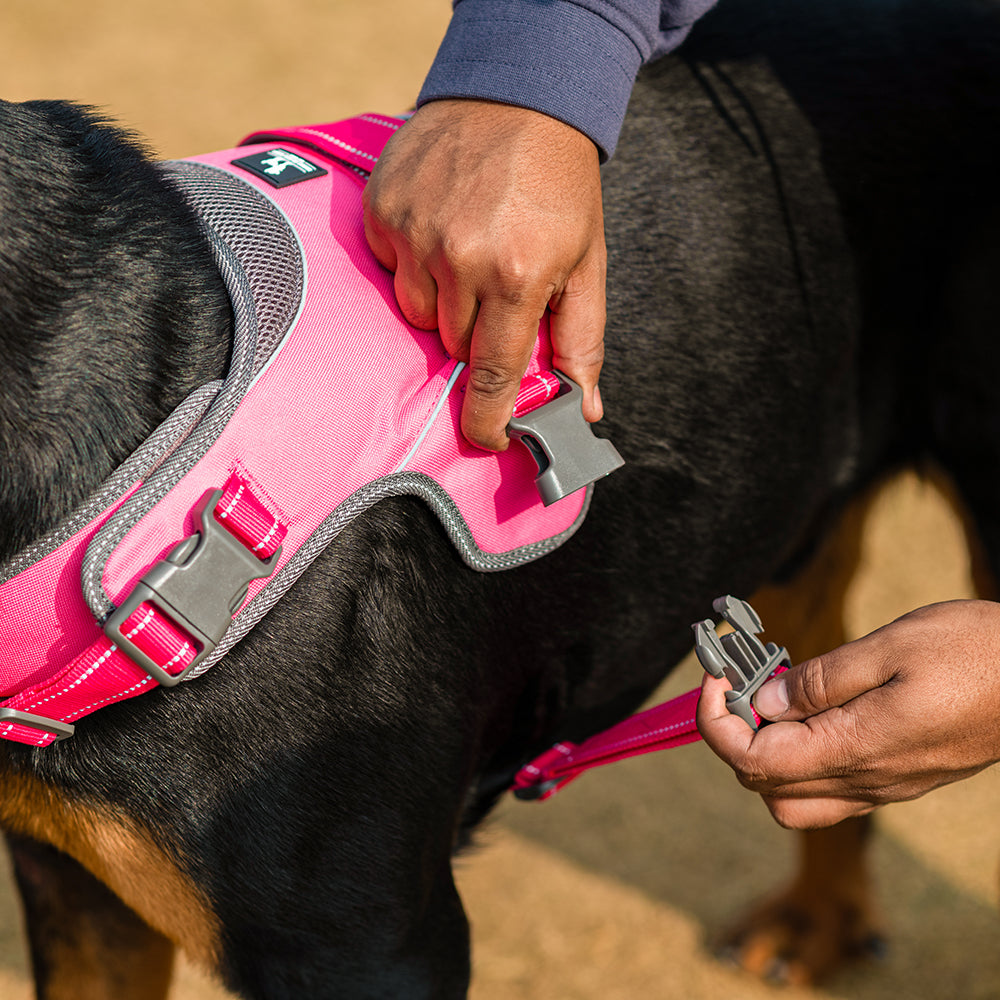 HUFT Easy On Dog Harness - Pink - Heads Up For Tails
