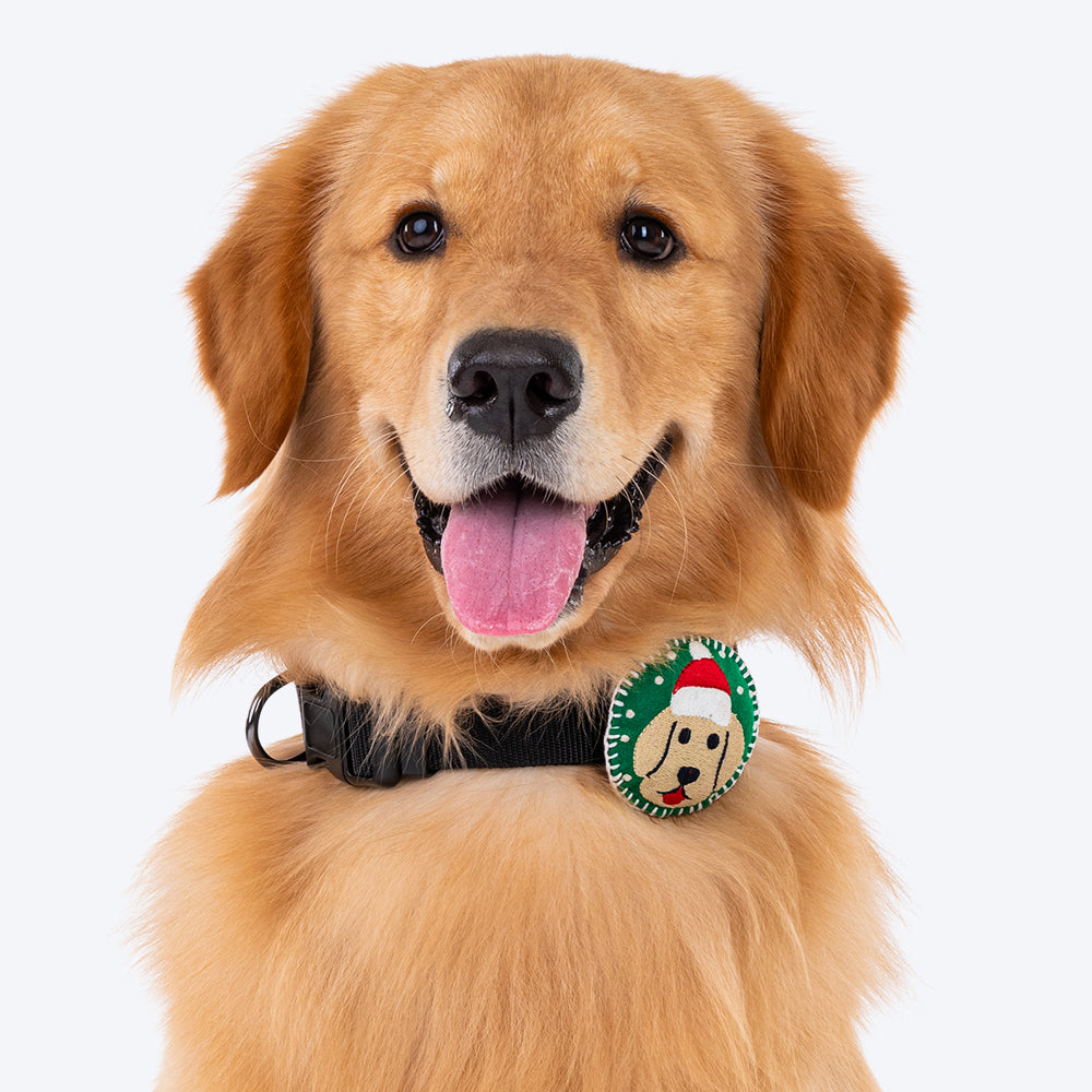 HUFT Santa¢'¬…¡¬€¦¡¬'¬¦¡¬'¬€¦¡¬¦¡¬'¬€¦¡¬€¦¡¬¦¡'¬€¦¡¬€¦¡¬'¬…¡¬¦¡¬¢'¬…¡¬€¦¡¬'¬¦¡¬'¬€¦¡¬¦¡¬'¬€¦¡¬€¦¡¬¦¾'¬€¦¡¬€¦¡¬'¬…¡¬¦¡¢s Furry Dog Collar Insert (Green) - Heads Up For Tails