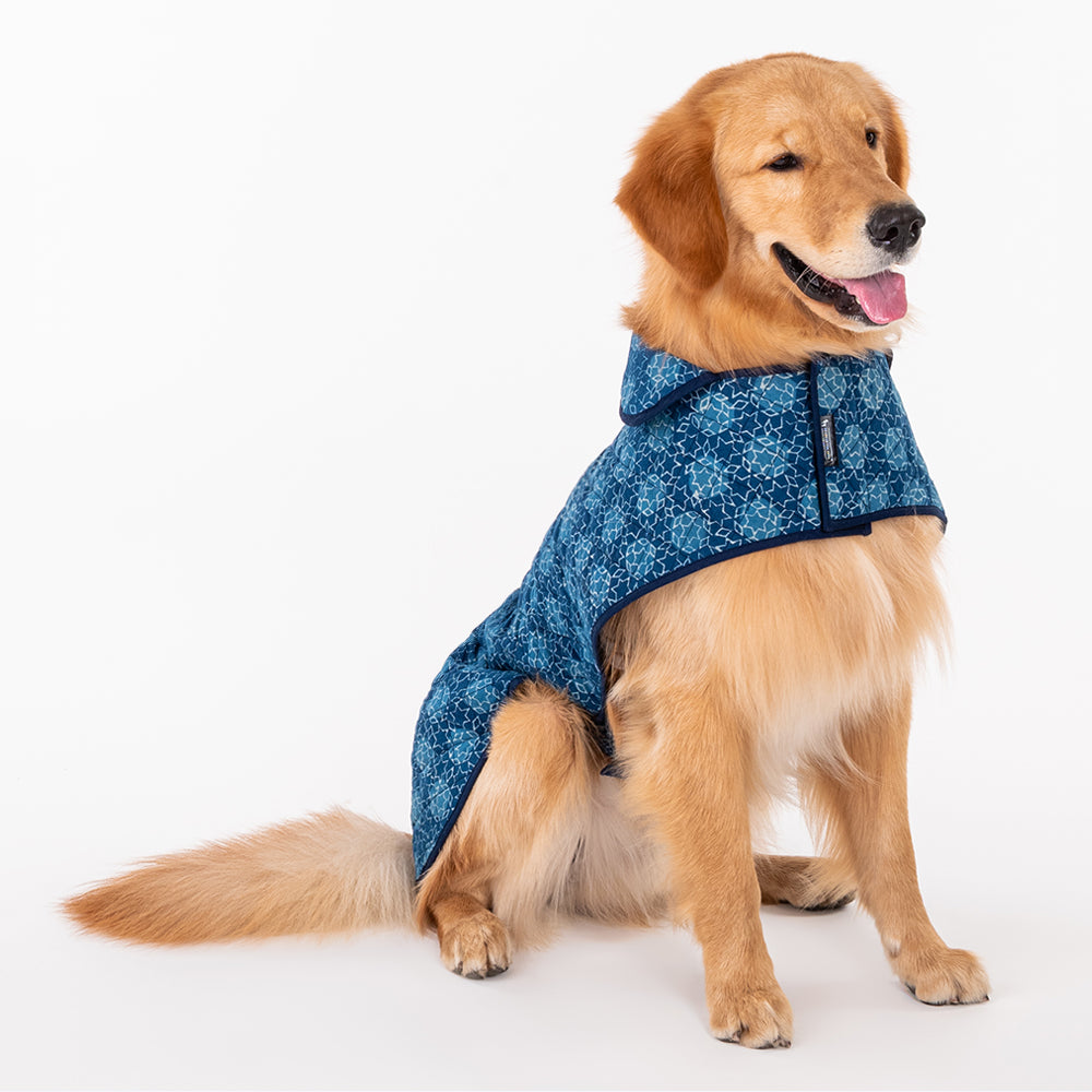 HUFT The Indian Collective Tara Sitara Indigo Dog Jacket - Heads Up For Tails