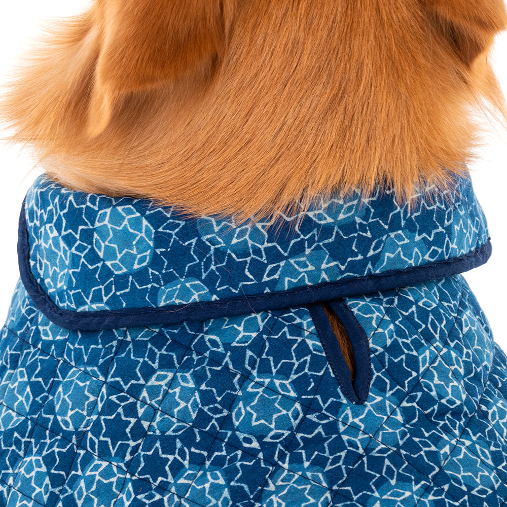 HUFT The Indian Collective Tara Sitara Indigo Dog Jacket - Heads Up For Tails