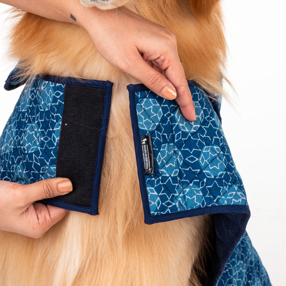 HUFT The Indian Collective Tara Sitara Indigo Dog Jacket - Heads Up For Tails