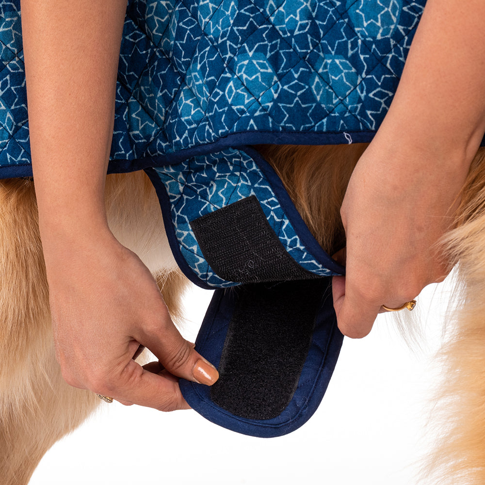 HUFT The Indian Collective Tara Sitara Indigo Dog Jacket - Heads Up For Tails