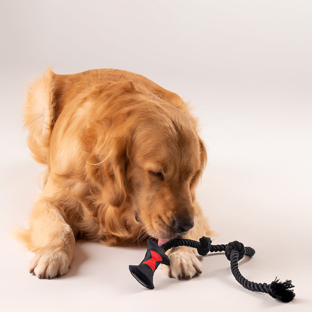 HUFT Marvel Black Widow Dog Toy Set - Tennis Ball & Rope Toy - Heads Up For Tails