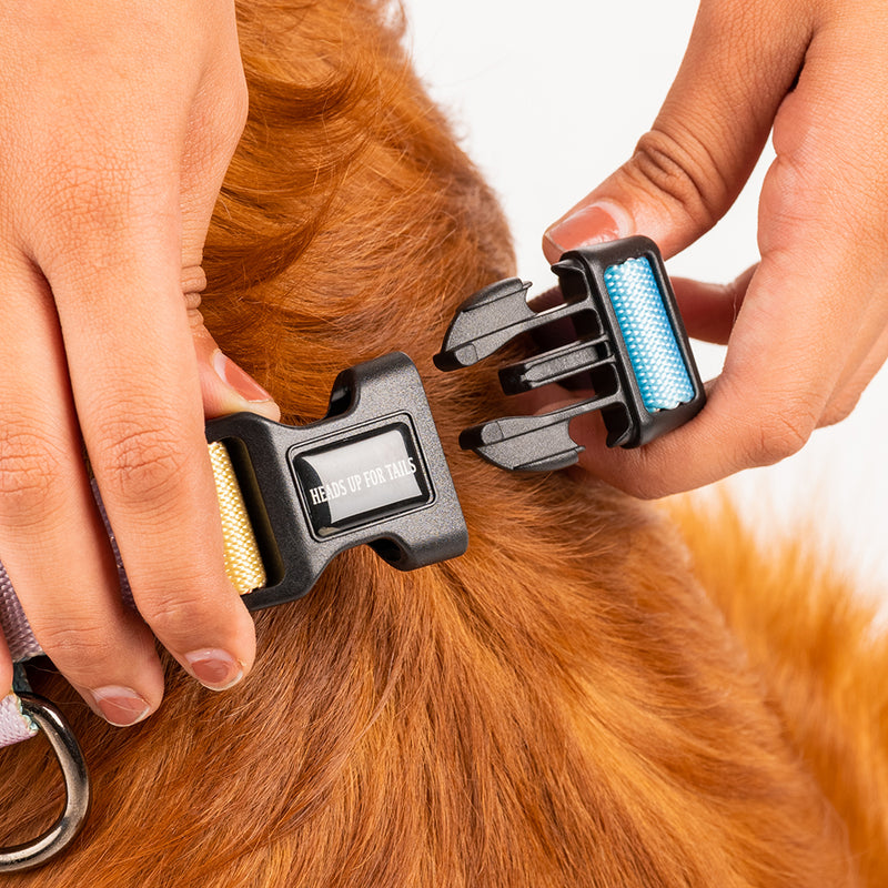 HUFT Nylon Chase the Rainbow Dog H Harness - Heads Up For Tails