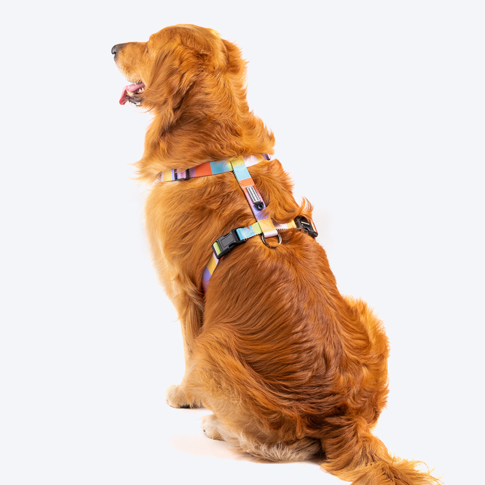 Chewy Rainbow Cute Dog Harness And Leash Set