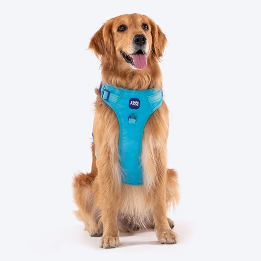 Dash Dog Zoom Walk Along Harness - Aqua Blue & Lavender - Heads Up For Tails