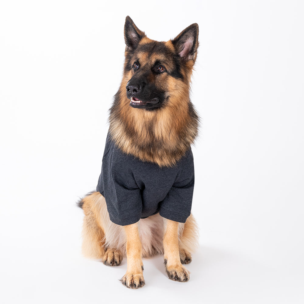 HUFT 24x7 Snuggle Duty Foil Print Pet Sweatshirt - Grey Melange - Heads Up For Tails