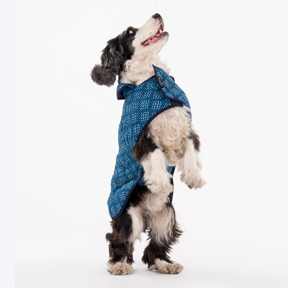 HUFT The Indian Collective Ambar Indigo Dog Jacket - Heads Up For Tails