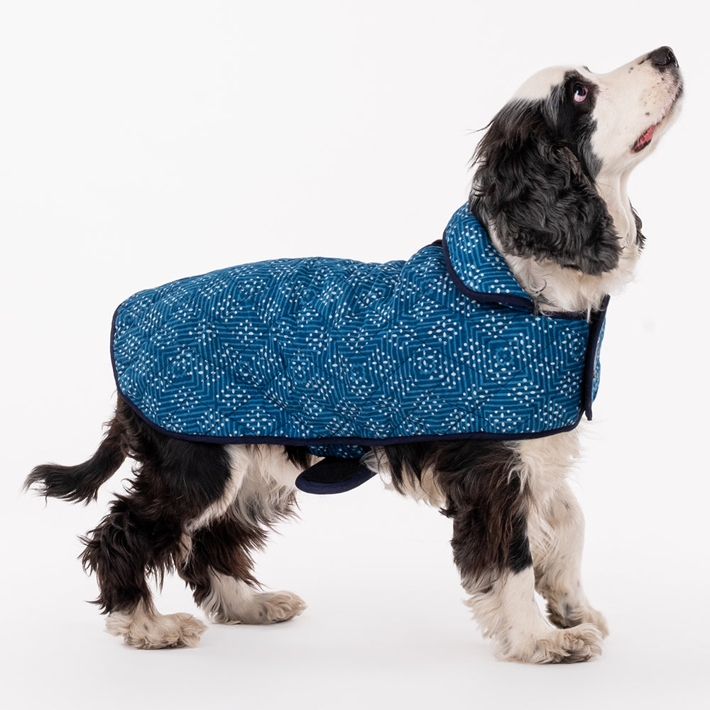 HUFT The Indian Collective Ambar Indigo Dog Jacket - Heads Up For Tails