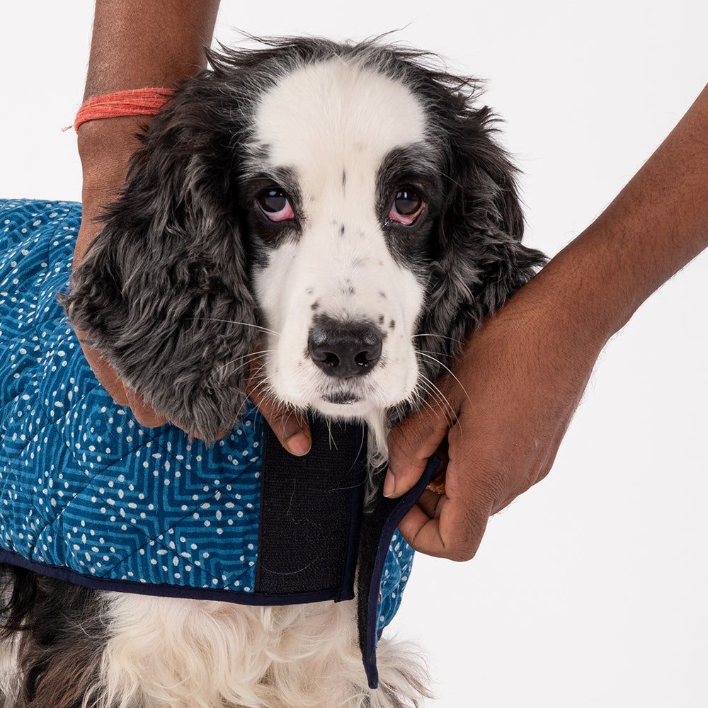 HUFT The Indian Collective Ambar Indigo Dog Jacket - Heads Up For Tails