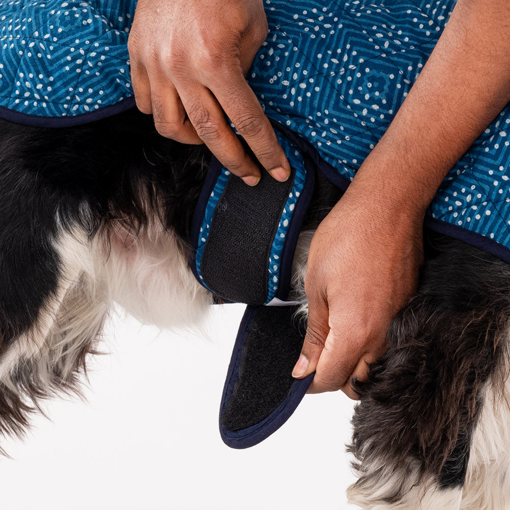 HUFT The Indian Collective Ambar Indigo Dog Jacket - Heads Up For Tails