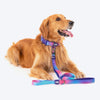 Dash Dog Flow Printed Leash - Pink & Aqua Blue - Heads Up For Tails