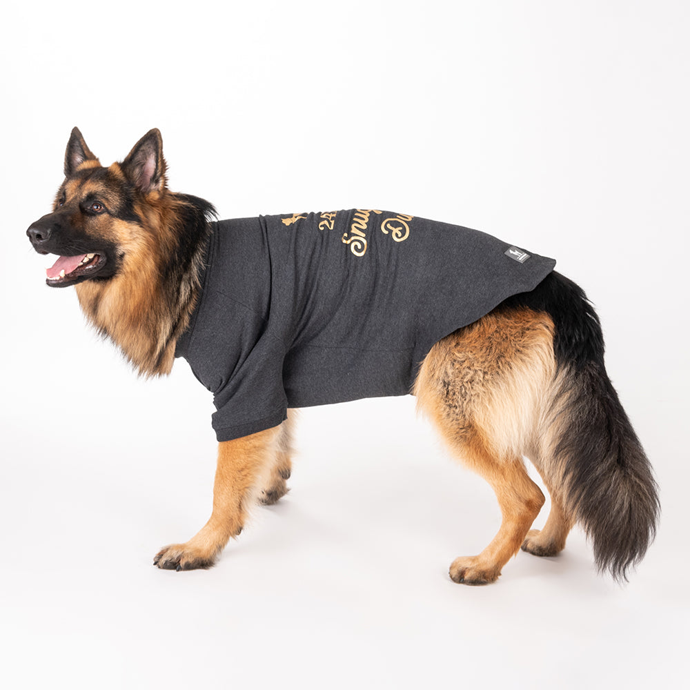 HUFT 24x7 Snuggle Duty Foil Print Pet Sweatshirt - Grey Melange - Heads Up For Tails