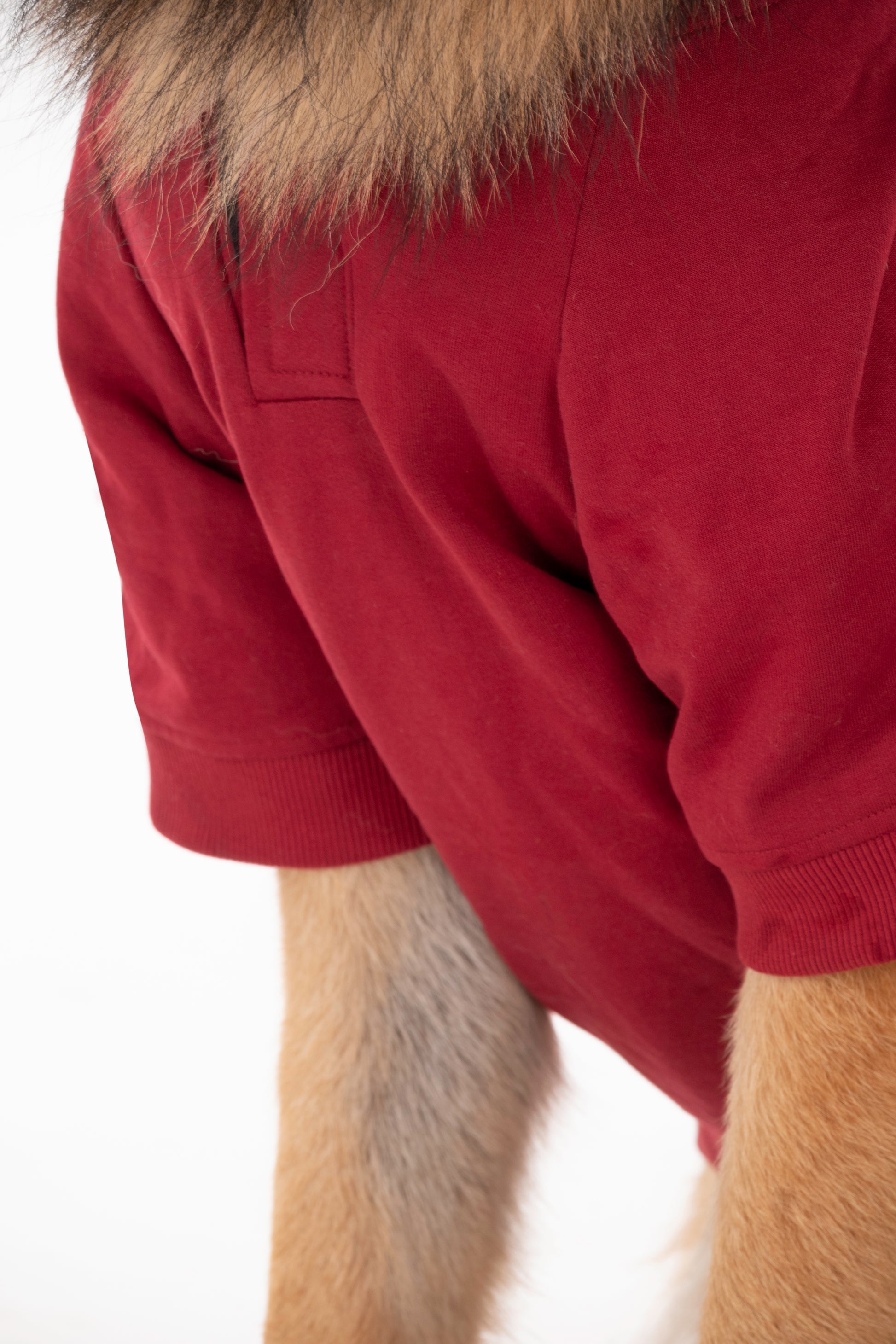 HUFT Sweatshirt for Dogs - Maroon - Heads Up For Tails