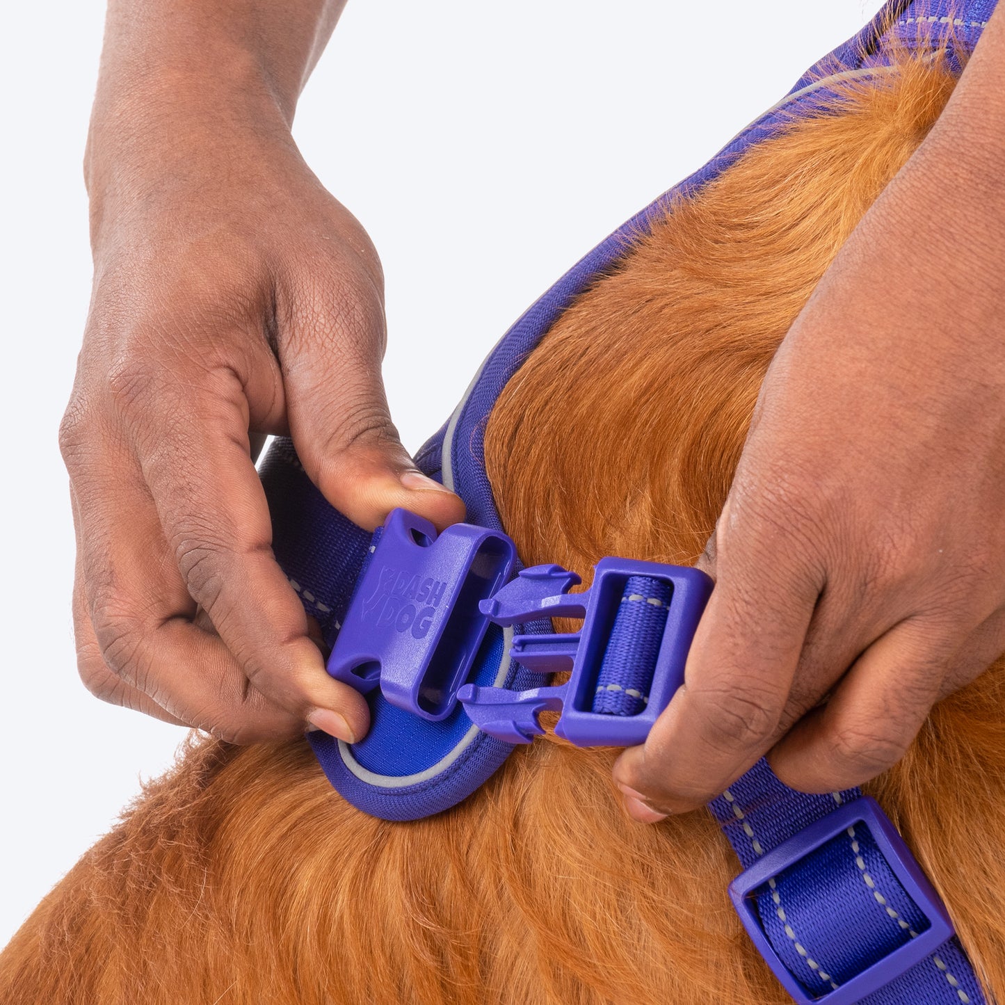 Dash Dog Zoom Walk Along Harness - Violet & Red - Heads Up For Tails