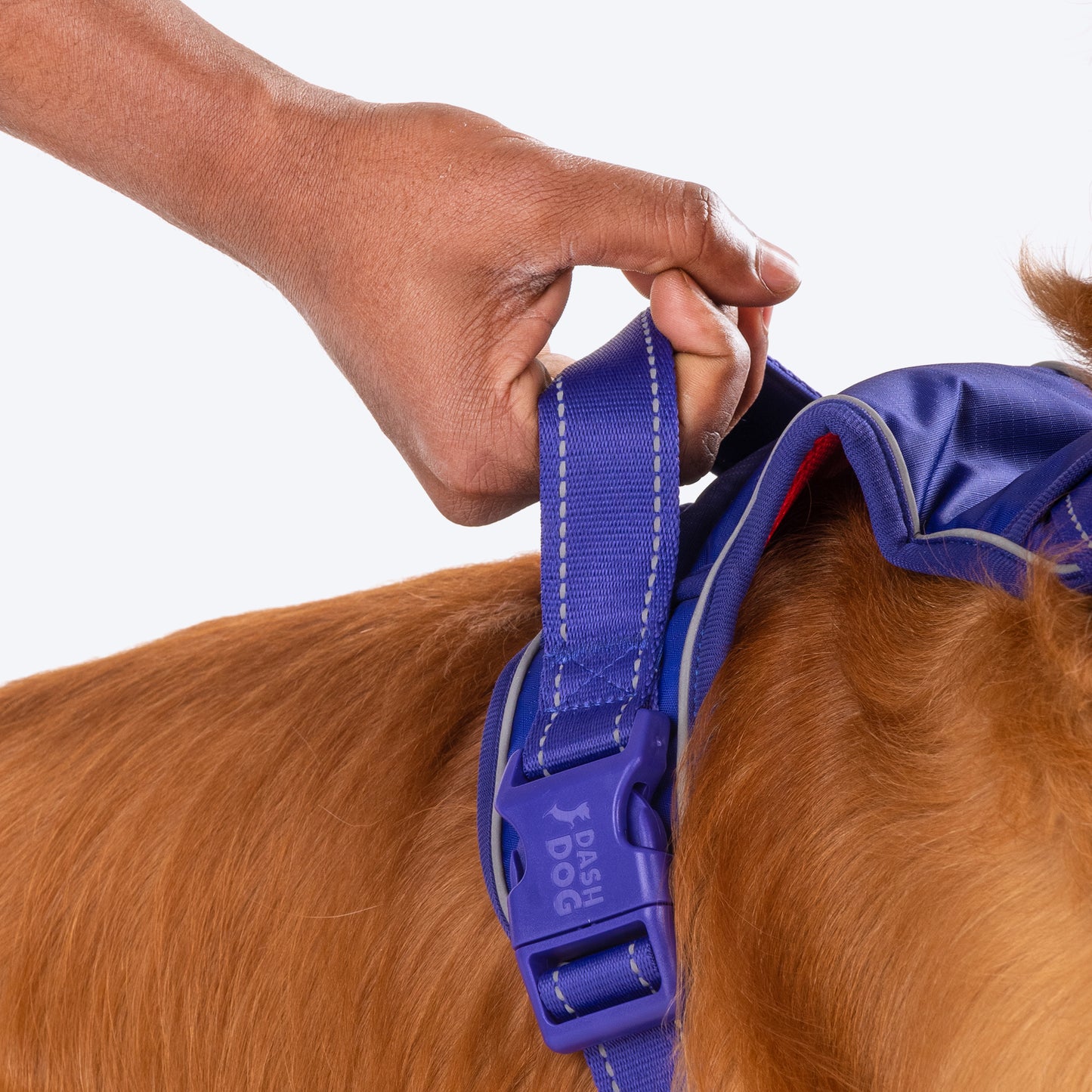 Dash Dog Zoom Walk Along Harness - Violet & Red - Heads Up For Tails