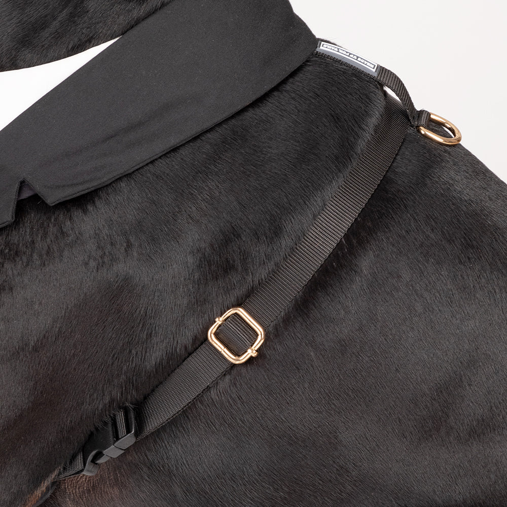 HUFT Made To Order Black Tuxedo Harness - Heads Up For Tails