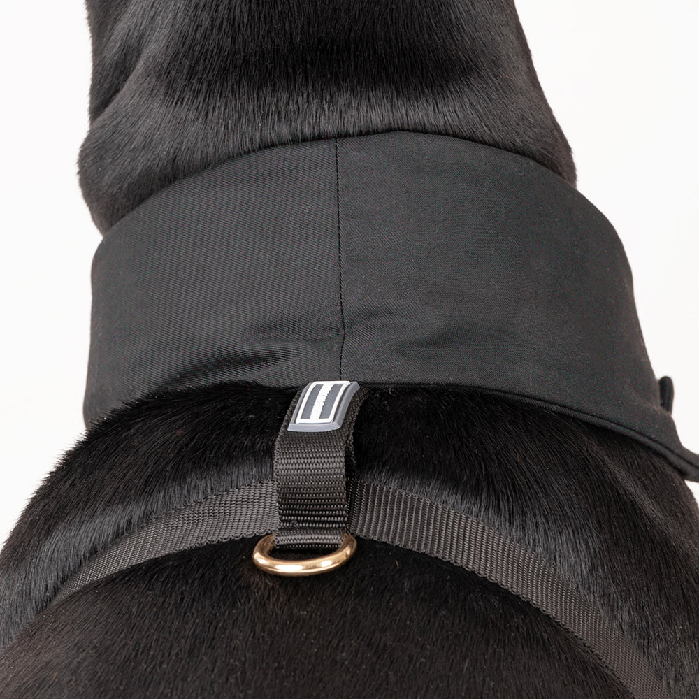 HUFT Made To Order Black Tuxedo Harness - Heads Up For Tails