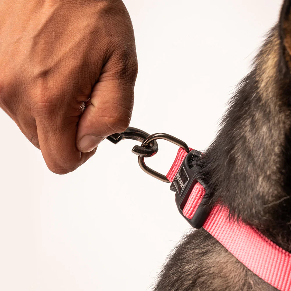 HUFT Essentials Nylon Puppy Collar - Dark Pink - Heads Up For Tails