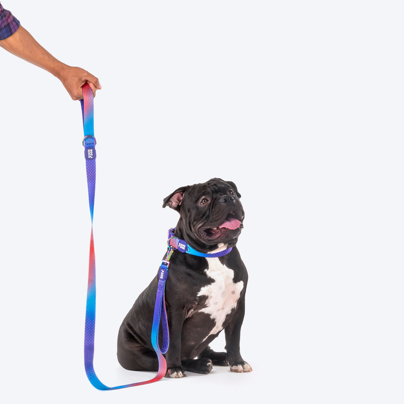 Dash Dog Flow Printed Leash - Violet & Red - Heads Up For Tails
