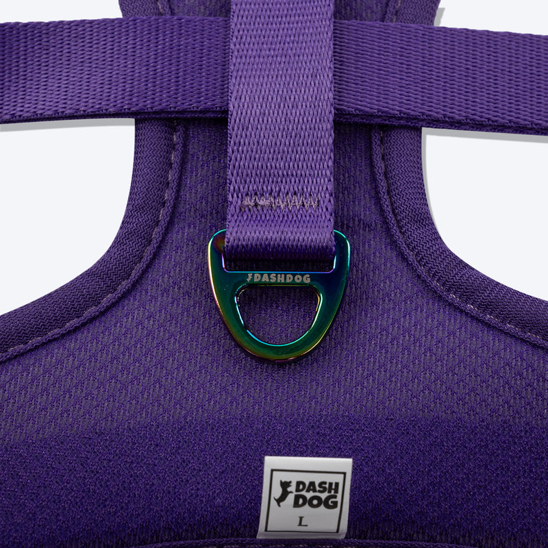 Dash Dog Flow Easy Walk Harness - Aqua Blue & Pink - Heads Up For Tails