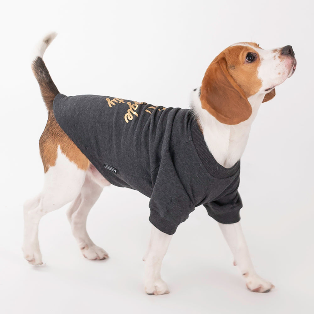HUFT 24x7 Snuggle Duty Foil Print Pet Sweatshirt - Grey Melange - Heads Up For Tails