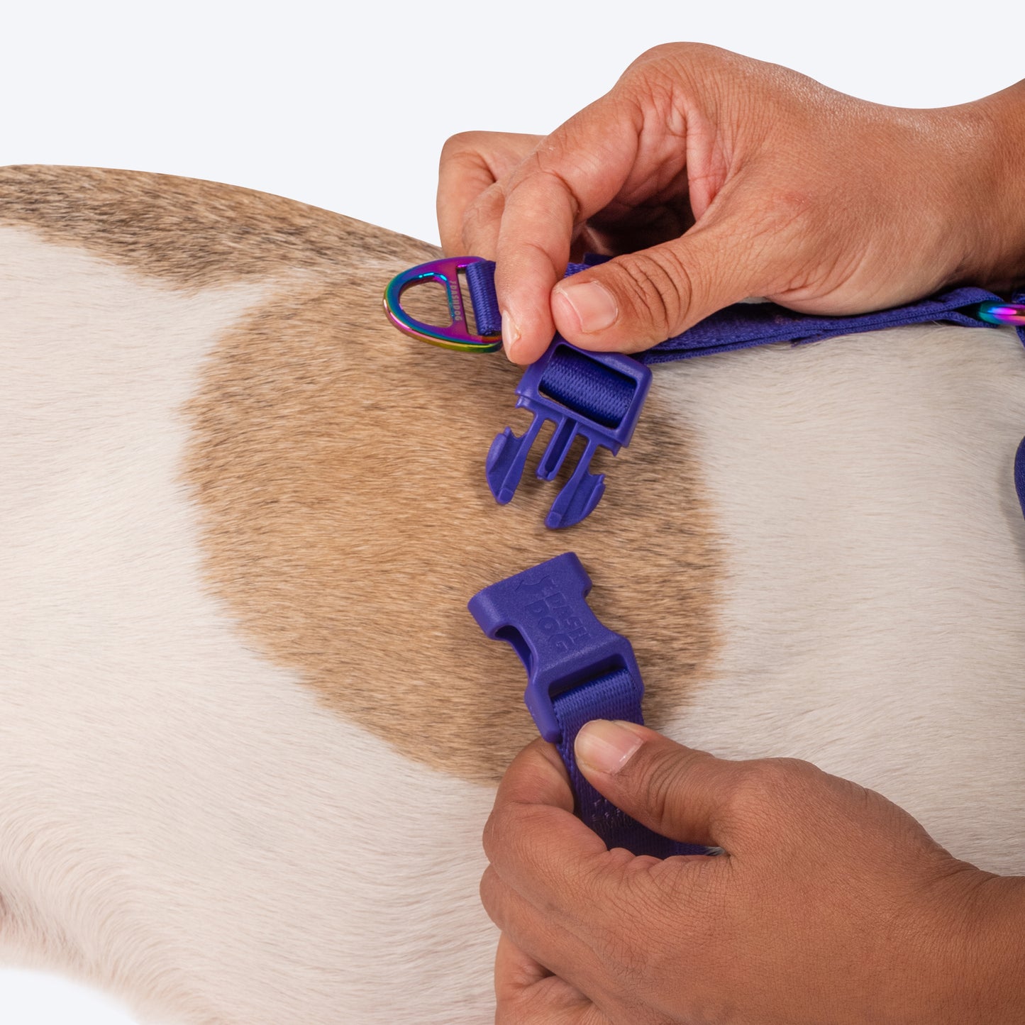 Dash Dog Flow Easy Walk Harness - Aqua Blue & Pink - Heads Up For Tails