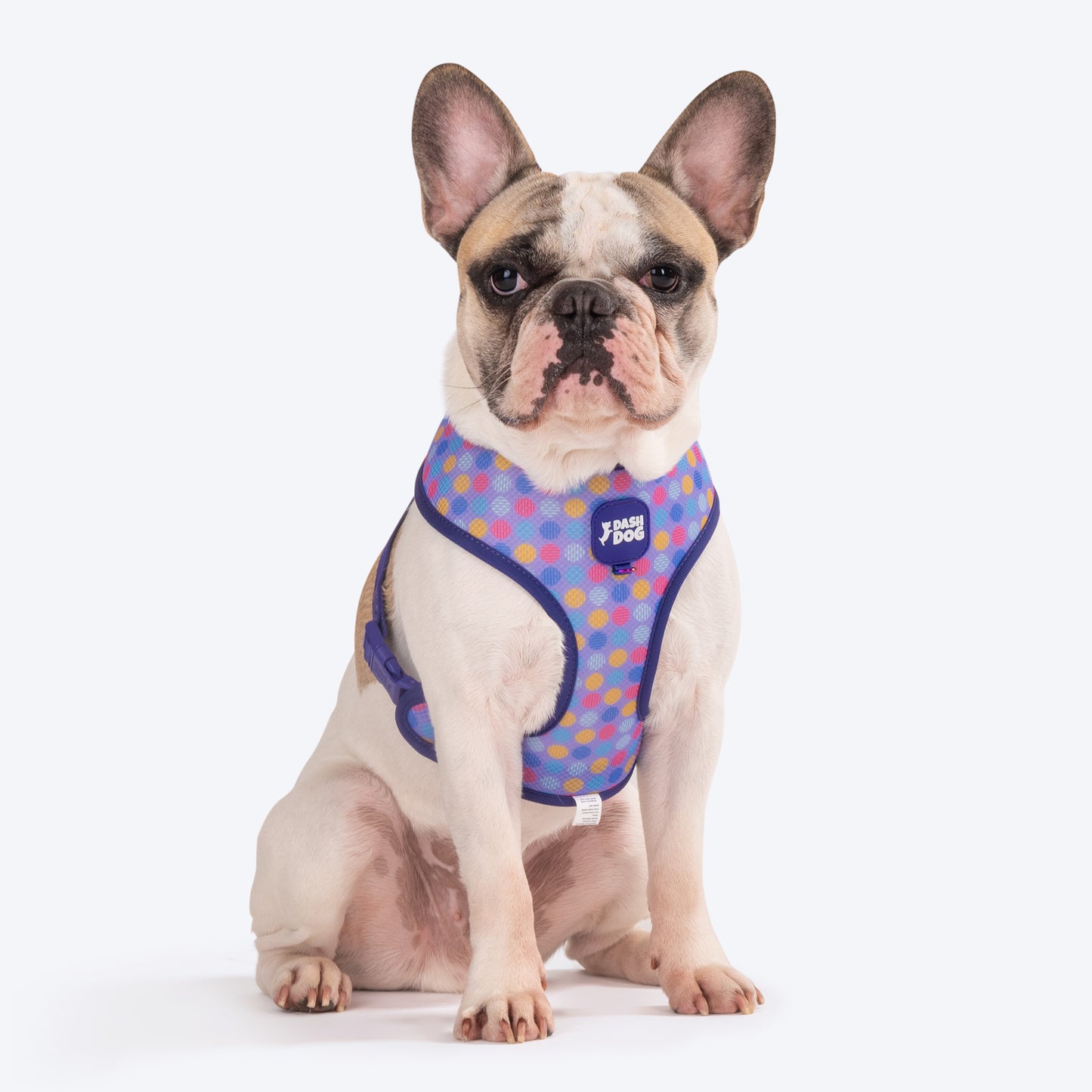 Dash Dog Circle Double Harness - Aqua Blue & Lavender - Heads Up For Tails