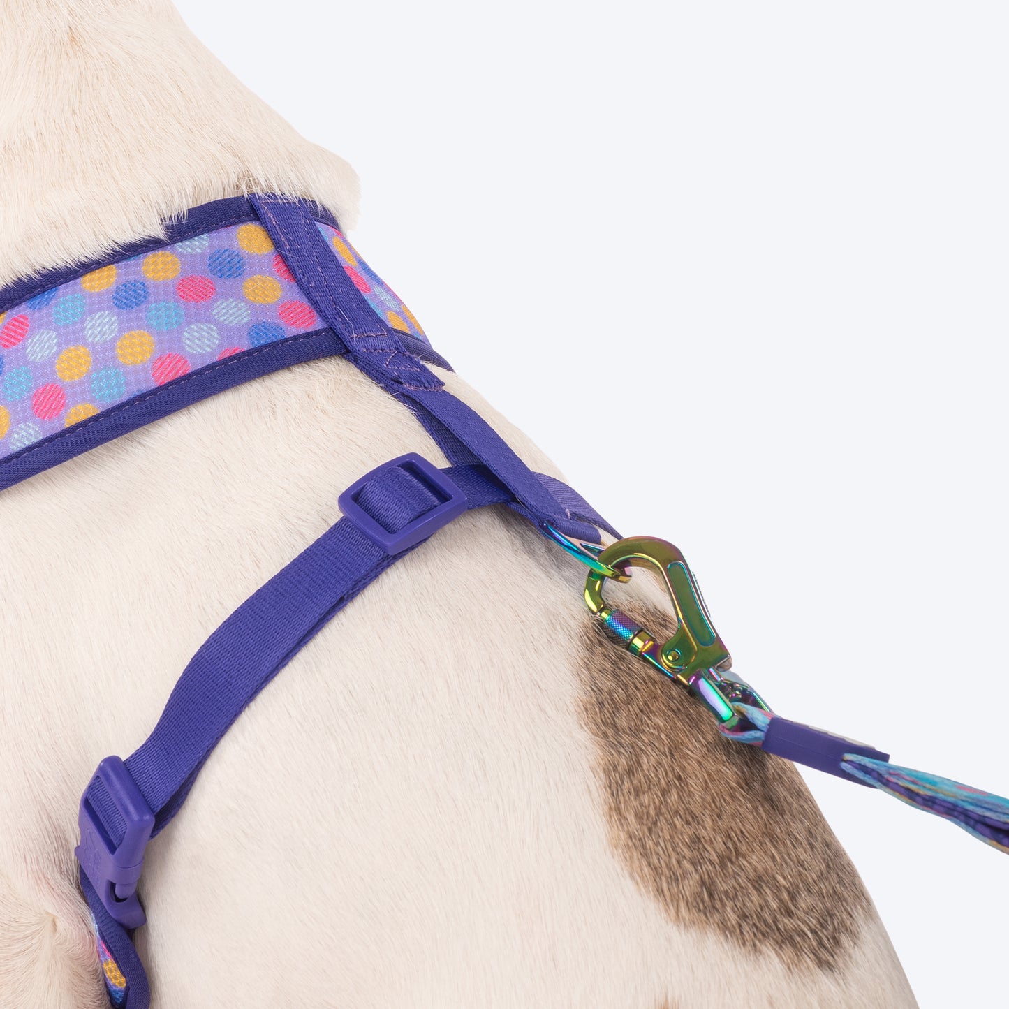 Dash Dog Circle Double Harness - Aqua Blue & Lavender - Heads Up For Tails