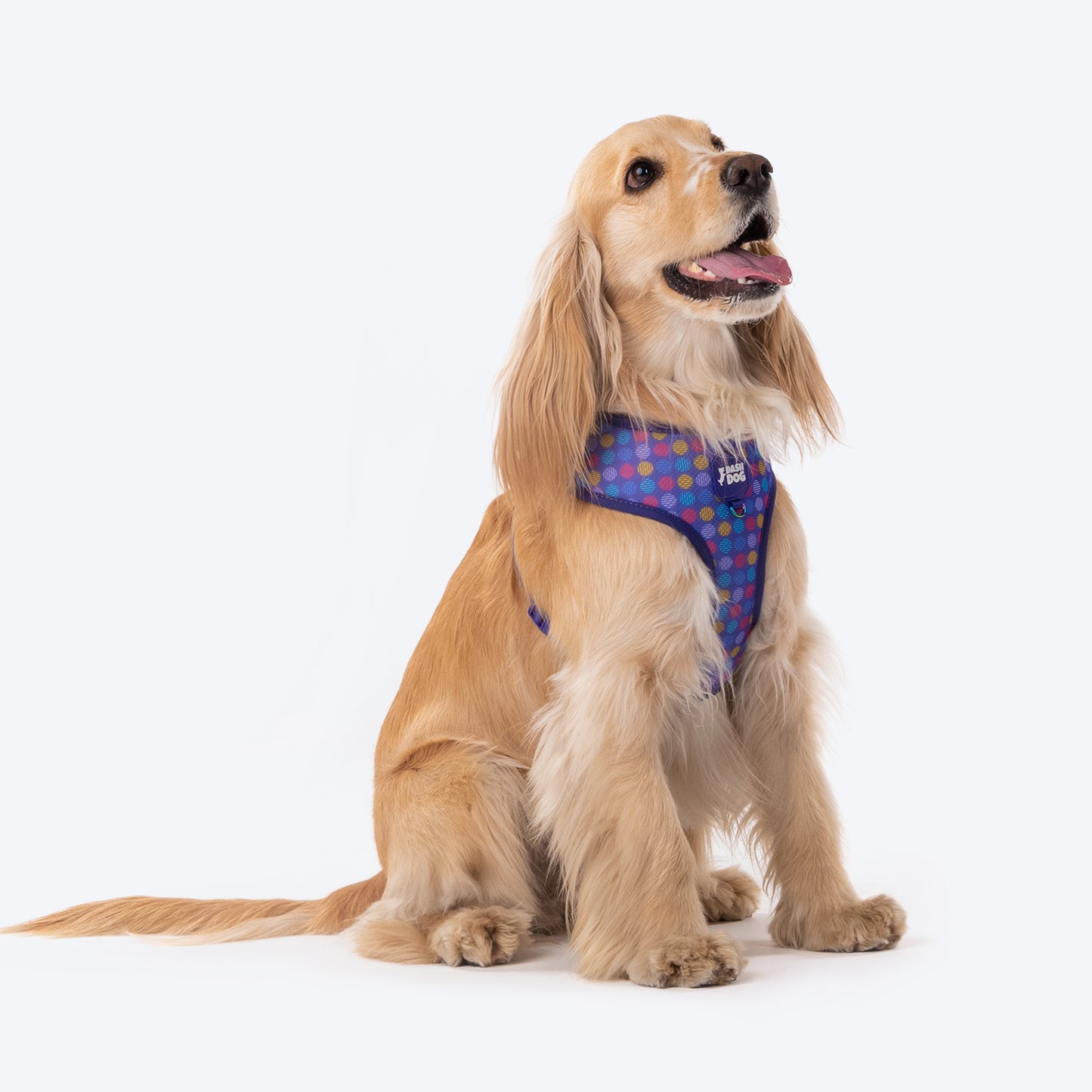 Dash Dog Circle Double Harness - Violet & Red - Heads Up For Tails