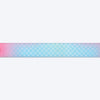 Dash Dog Flow Padded Collar - Pink And Aqua Blue - Heads Up For Tails