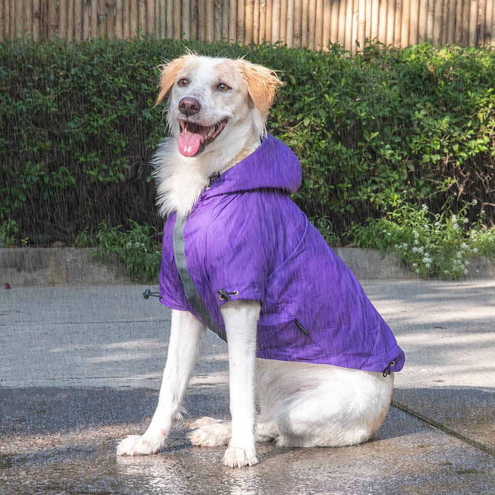 HUFT Drizzle Buddy Dog Raincoat - Purple - Heads Up For Tails