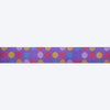 Dash Dog Circle Padded Collar - Violet - Heads Up For Tails