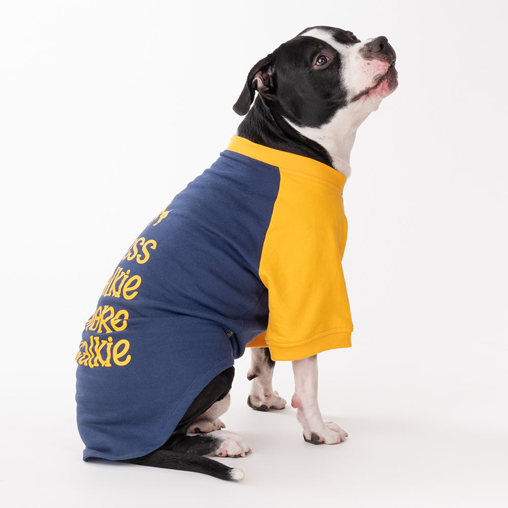 HUFT Less Talkie More Walkie Pet Sweatshirt - Navy - Heads Up For Tails