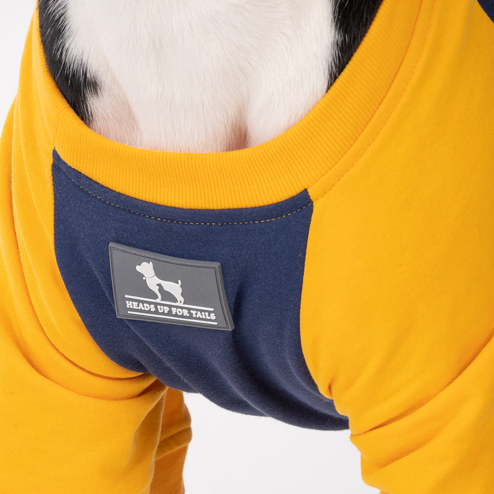 HUFT Less Talkie More Walkie Pet Sweatshirt - Navy - Heads Up For Tails