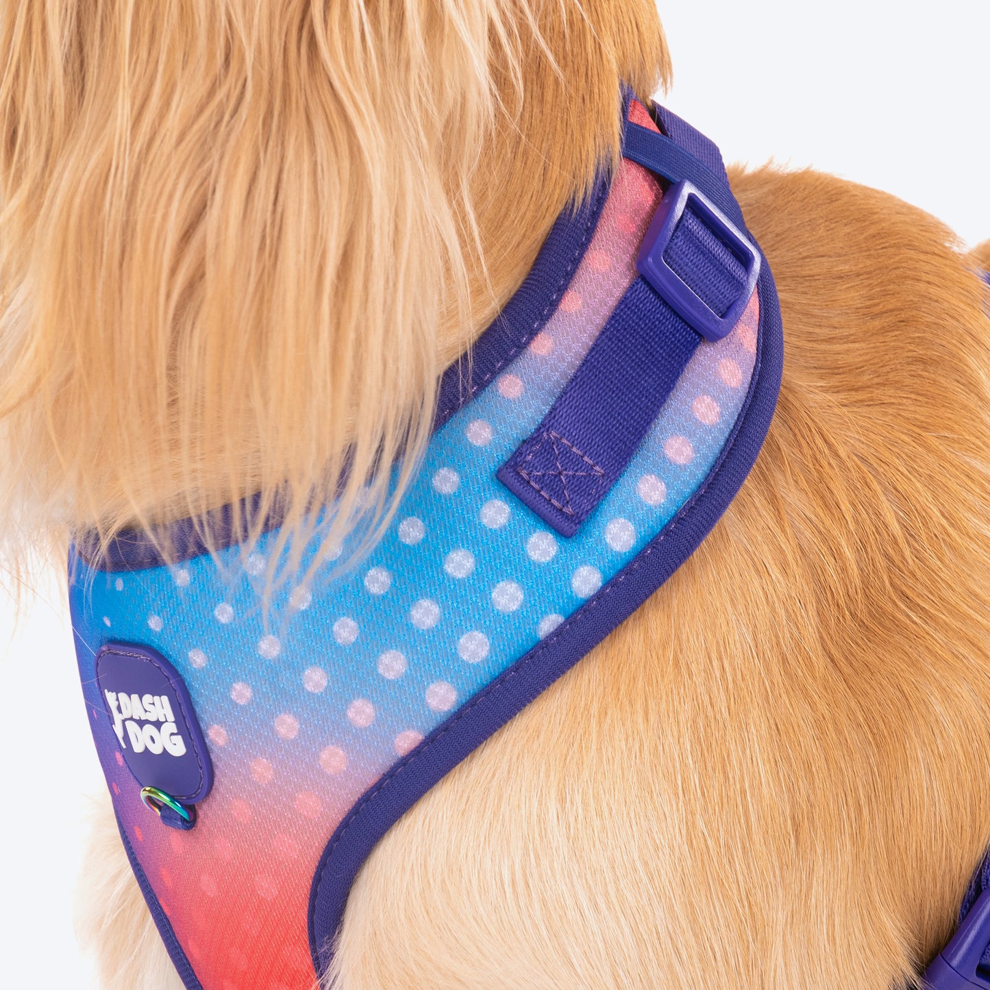 Dash Dog Flow Easy Walk Harness - Violet & Red - Heads Up For Tails