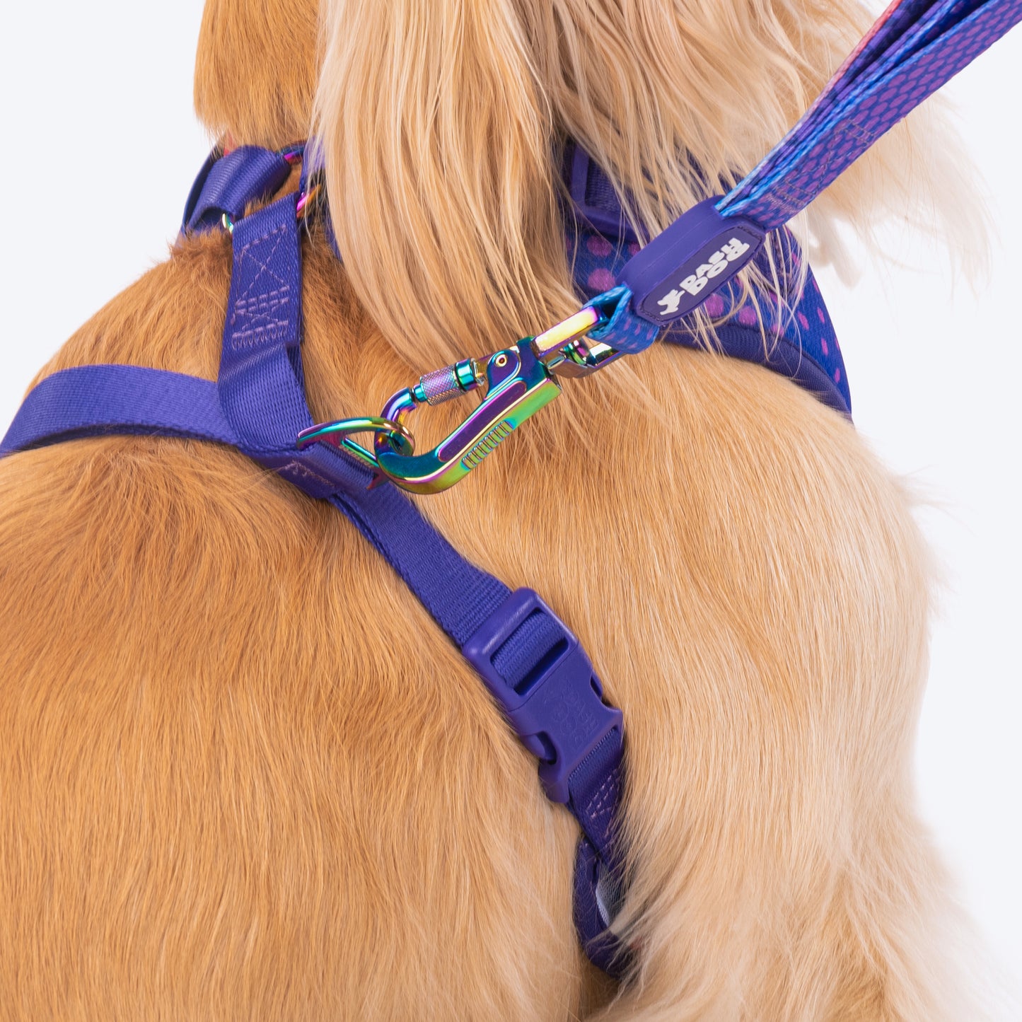 Dash Dog Flow Easy Walk Harness - Violet & Red - Heads Up For Tails