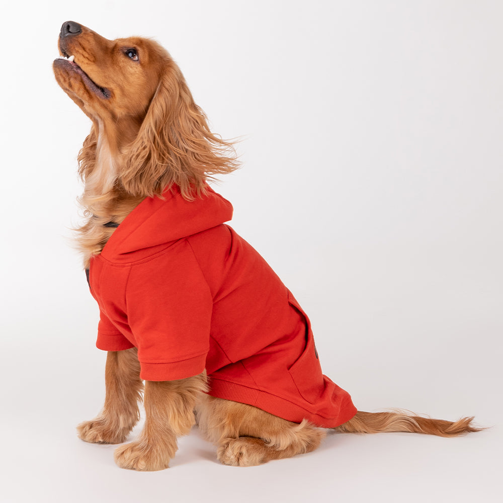 HUFT Sweatshirt for Dogs - Rust - Heads Up For Tails