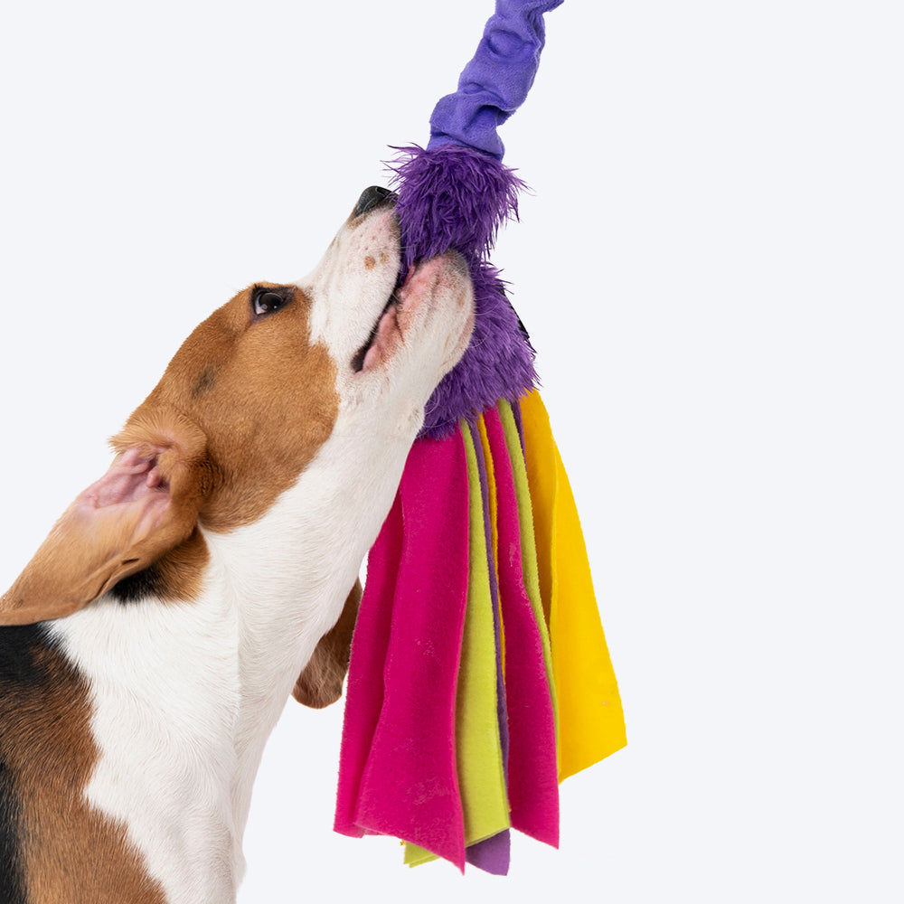 HUFT Power Dog Toy - Heads Up For Tails