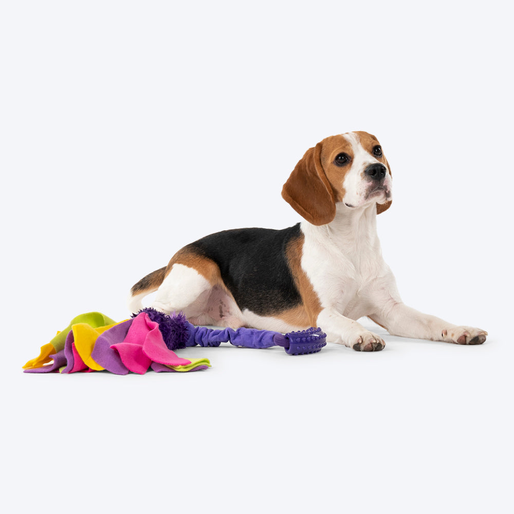 HUFT Power Dog Toy - Heads Up For Tails