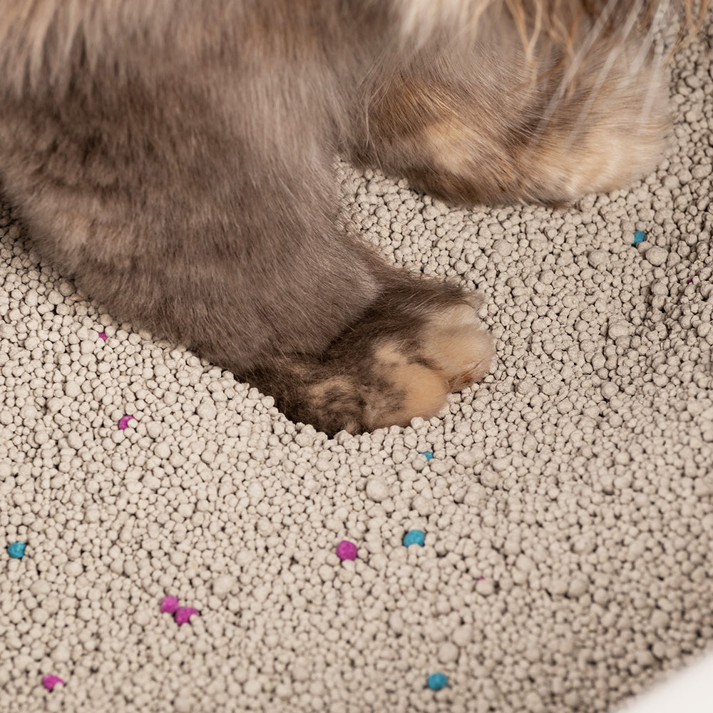 HUFT Cat Litter (Natural & Clumping) - Lavender Scented - 10 kg_04