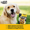 Dogaholic Milky Chew Cheese & Chicken Bone - 10 Pcs - 150 g_06