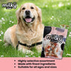 Dogaholic Milky Chew Chicken Bone Style - Chicken - 10 Pcs - 140 g_05