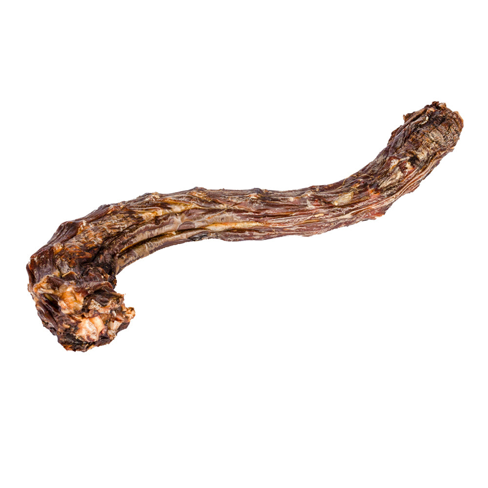 Canine Craving Duck Chew - Whole Neck Dog Chew Treat - 1 Piece - Heads Up For Tails