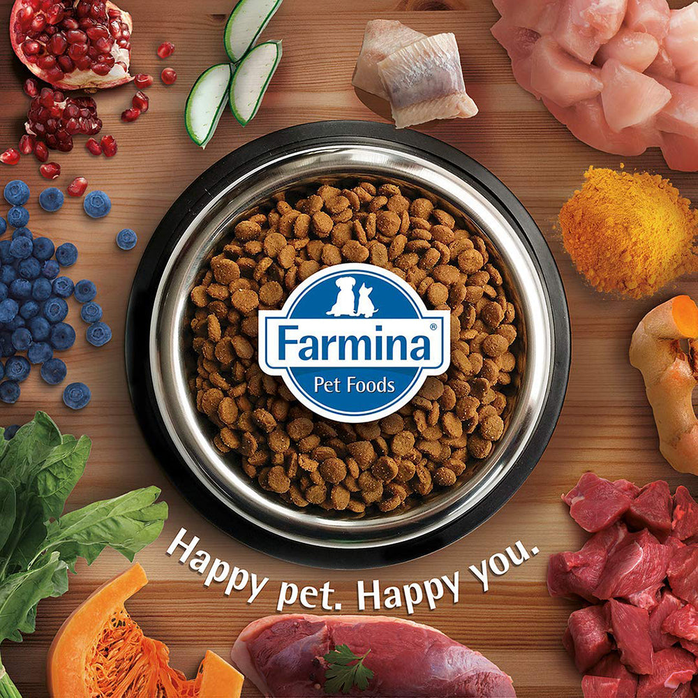 Farmina Team Breeder Top Grain Free Chicken Adult Dry Dog Food - 20 kg - Heads Up For Tails