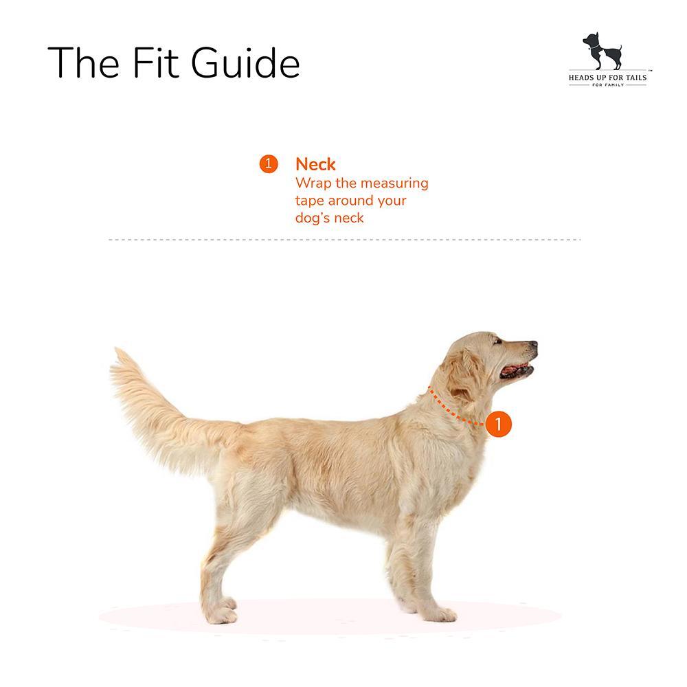 HUFT Nylon Collar For Puppies and Small Dogs - Orange-2