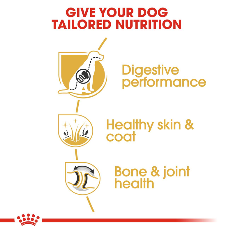Royal Canin German Shepherd Adult Dry Dog Food - Heads Up For Tails