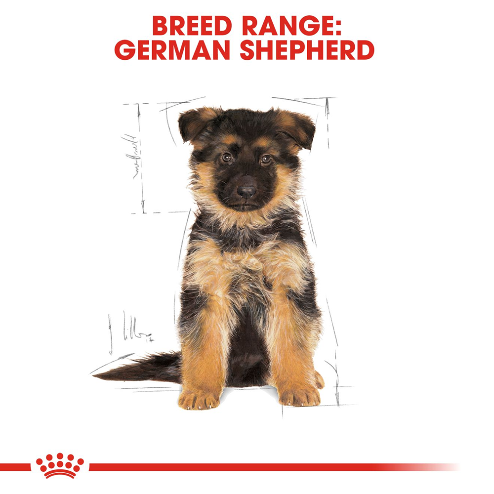Royal Canin German Shepherd Junior Dry Puppy Food - Heads Up For Tails